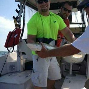 Meet your Posher, Dalton